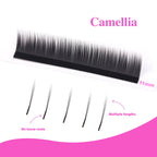 New LB Curl Camellia Fluffy Volume Lash Extensions