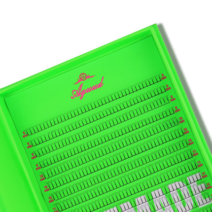 Aguud Long Stem Premade Fans