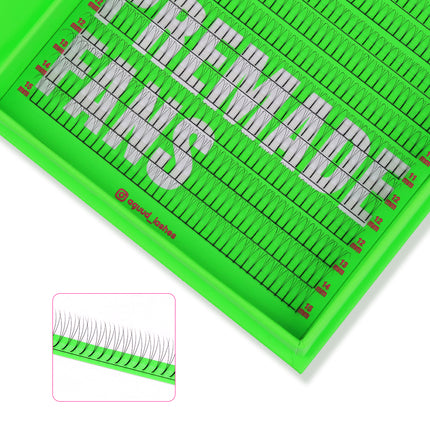Aguud Long Stem Premade Fans