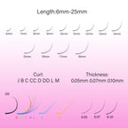 Bold Black Lashes 0.07MM – 20 Rows